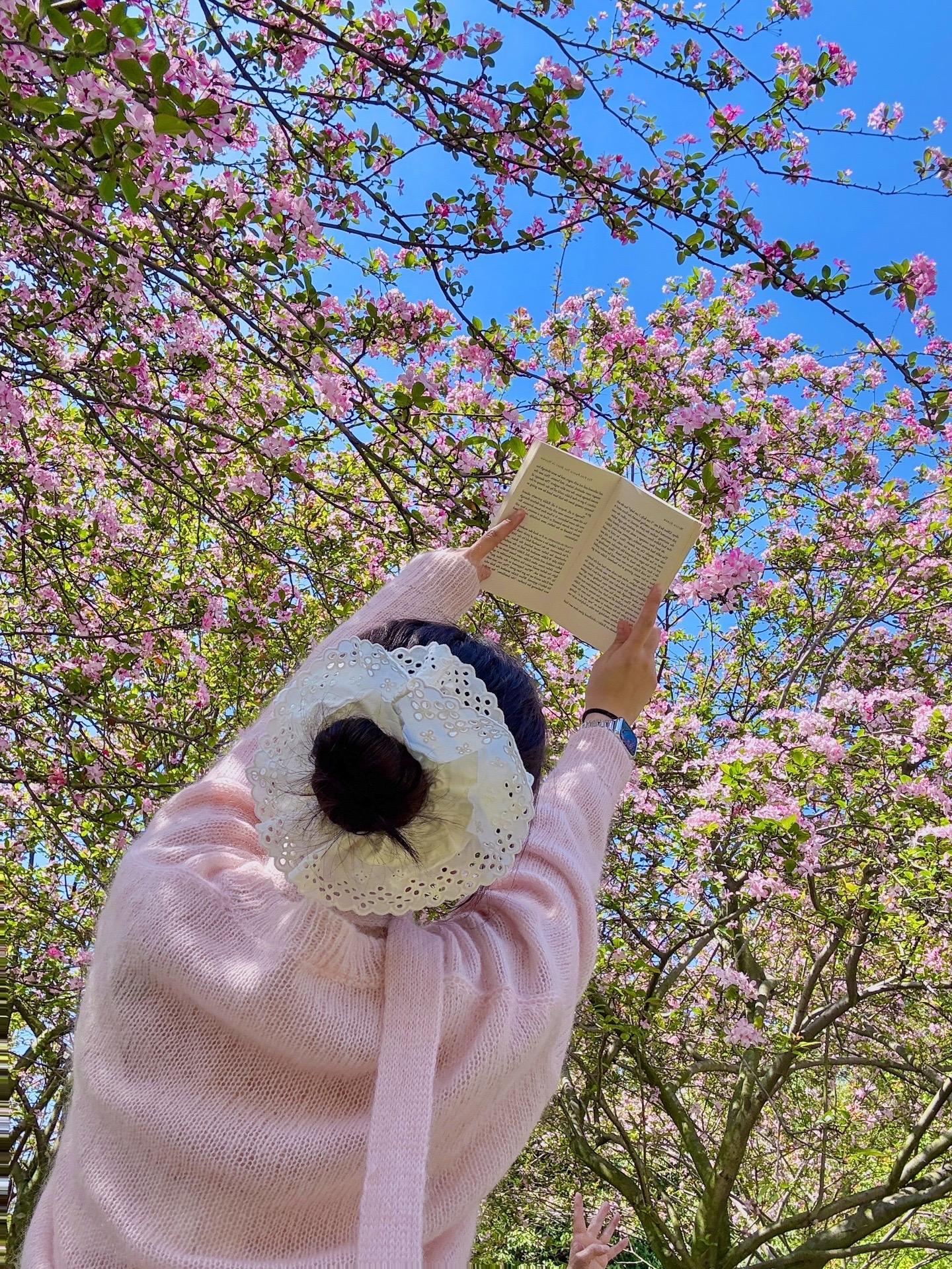 好好看🌸 都去拍这个花花💯出片的姿势。樱花🌸海棠花 梨花 李子花...