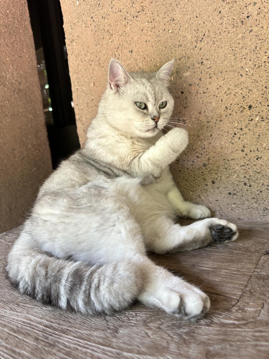 人，你也想来一口吗？