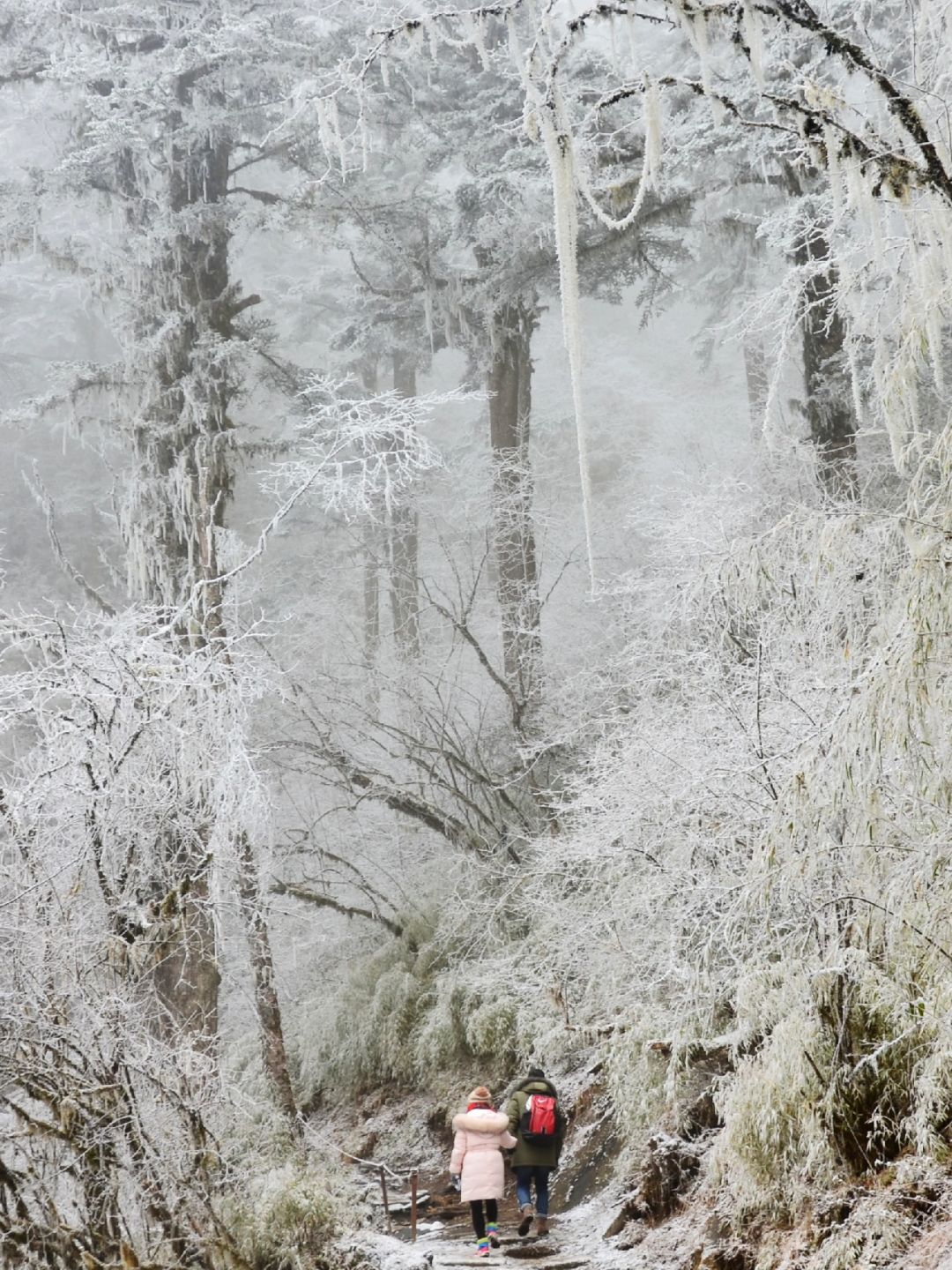 元旦不打挤，成都周边的冷门冰雪森林
