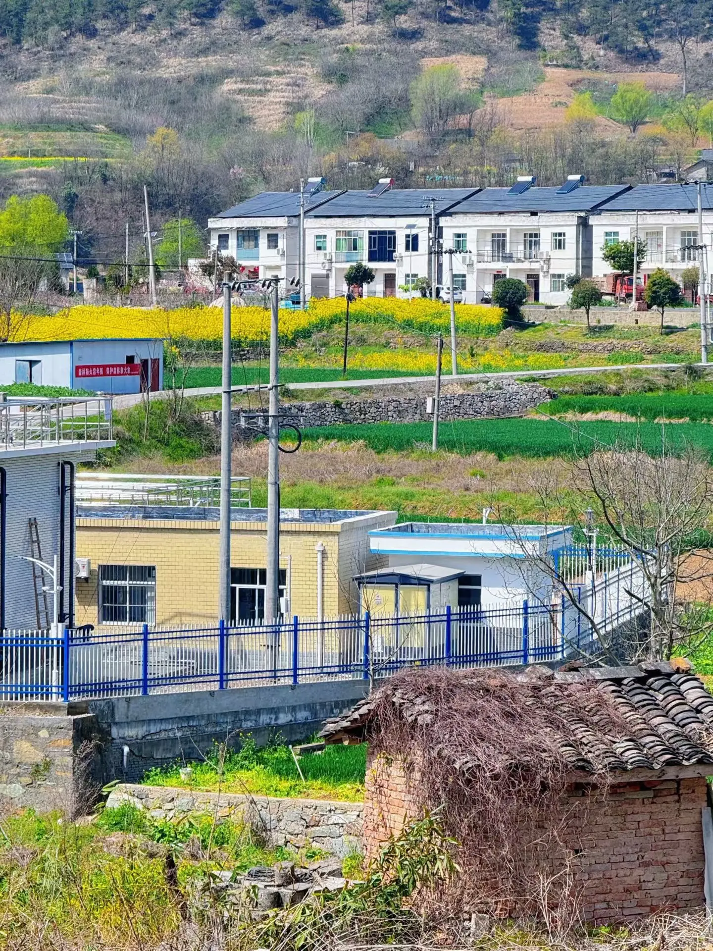 想起了2018年的夏