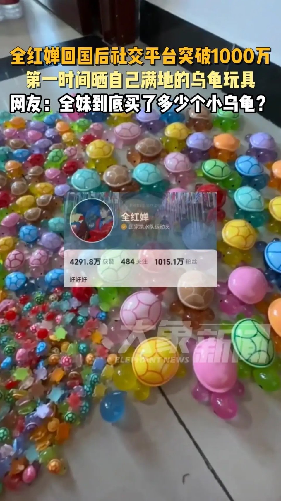 #全红婵到底买了多少乌龟#乌龟让全红婵妹妹已经失去理智了。满屋的乌龟让网友不淡定