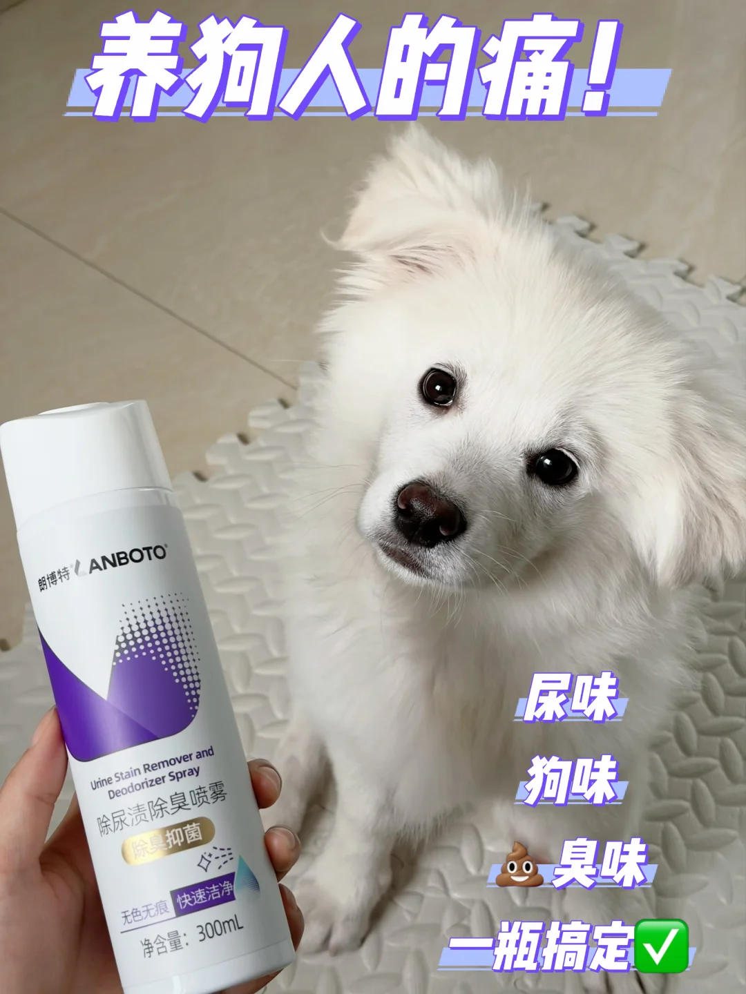 养狗人的痛！尿s味真给我整破防了！