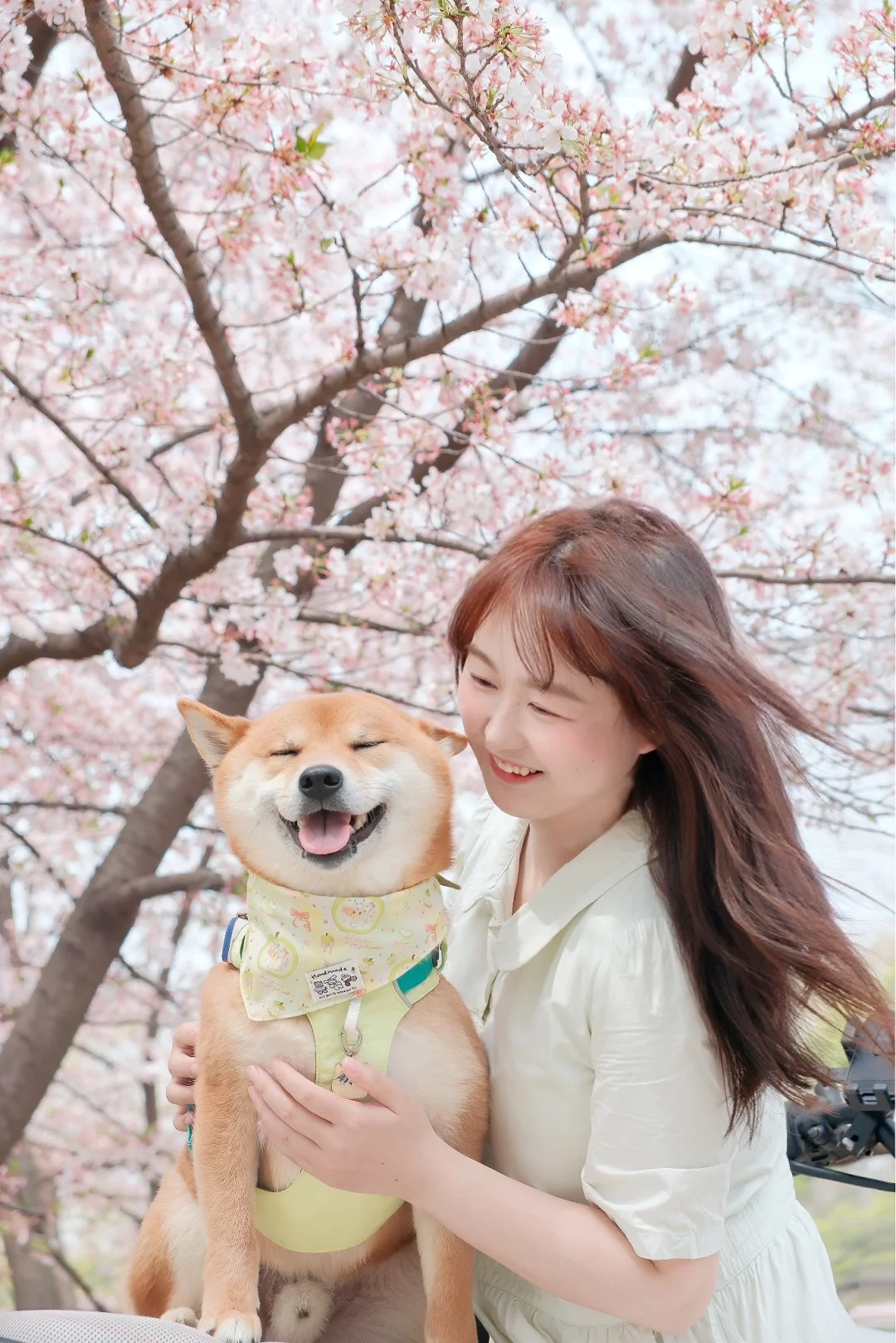 我想和你去闻闻新鲜的春天🌸