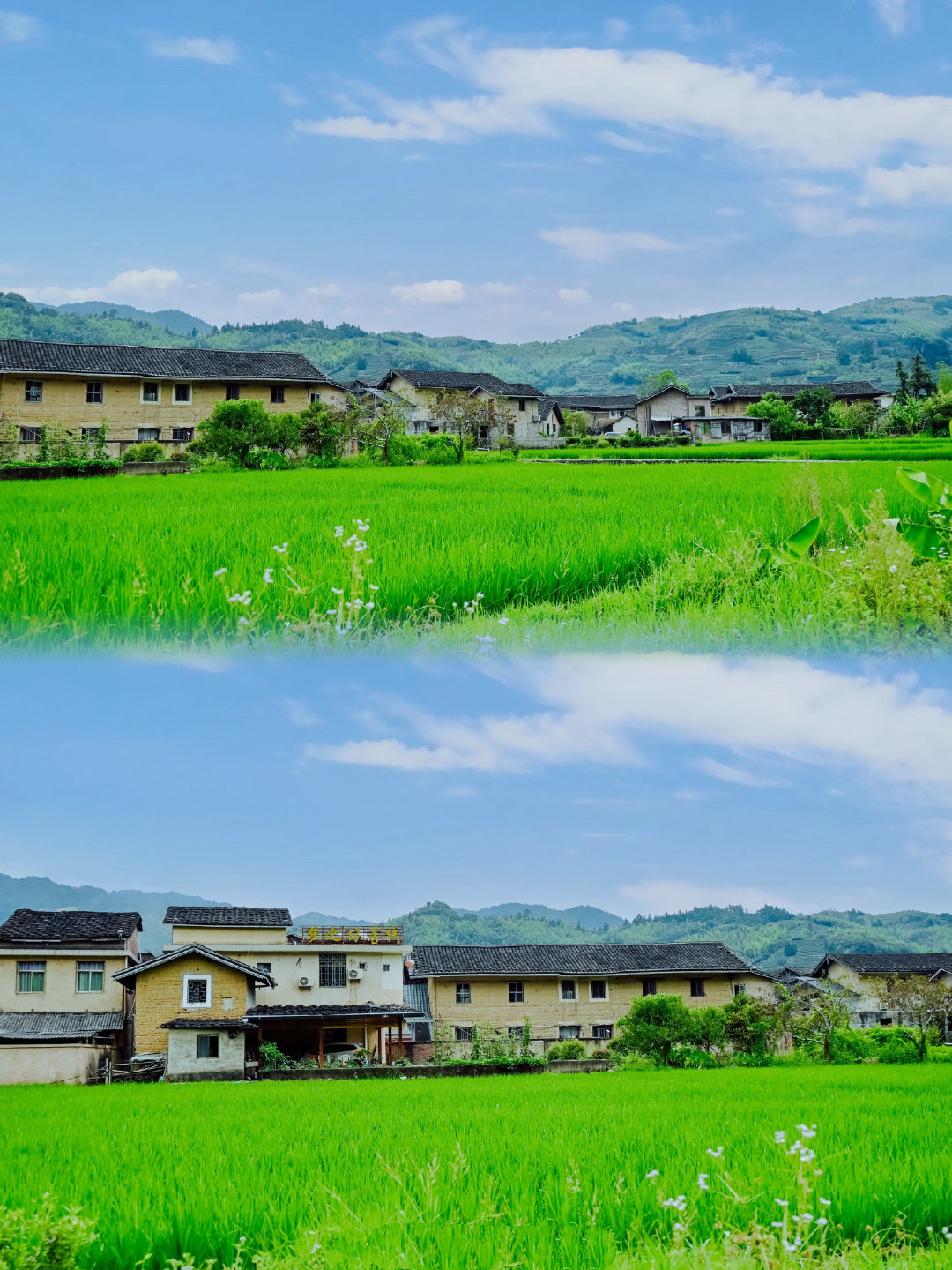 春节旅游休闲去哪玩 云水谣古镇是个历史悠久的古老村落,村中幽长古道、百年老榕、神