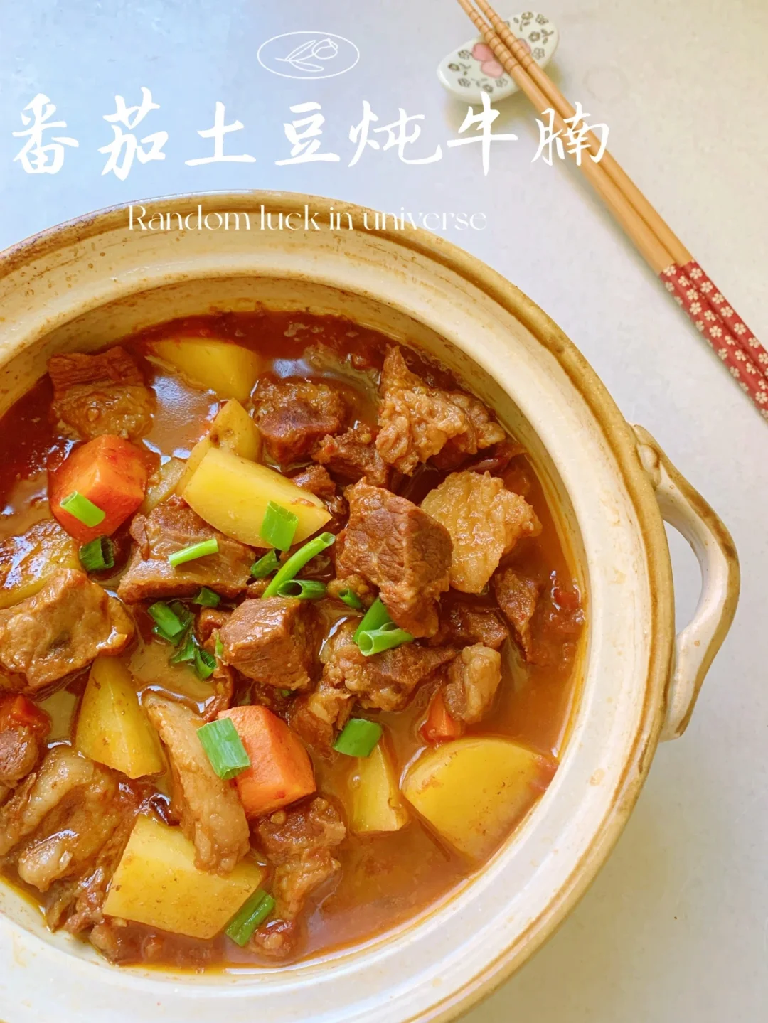 番茄土豆炖牛腩/米饭上浇上汤汁，太美味了