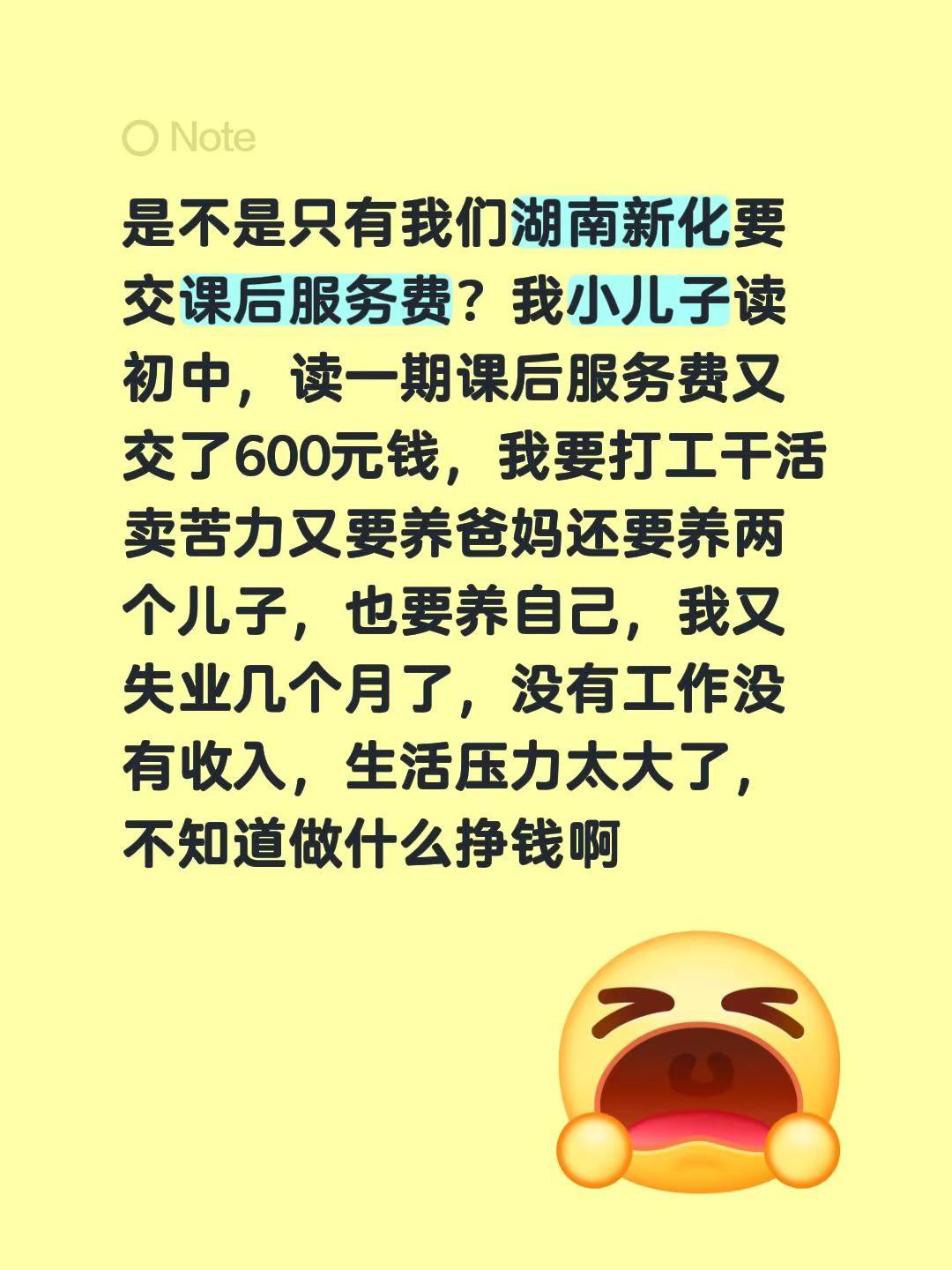 是不是只有我们湖南新化要交课后服务费？我小儿子读初中，读一期课后服务费又交了60