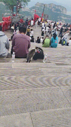 五一出游到底有多累？看完这一幕直接笑不活了！
 
景区台阶上，一位游客玩得筋疲力