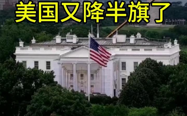 高频率数据有统计显示，仅2015年，全美各地降半旗的天数加起来就高达328天。而