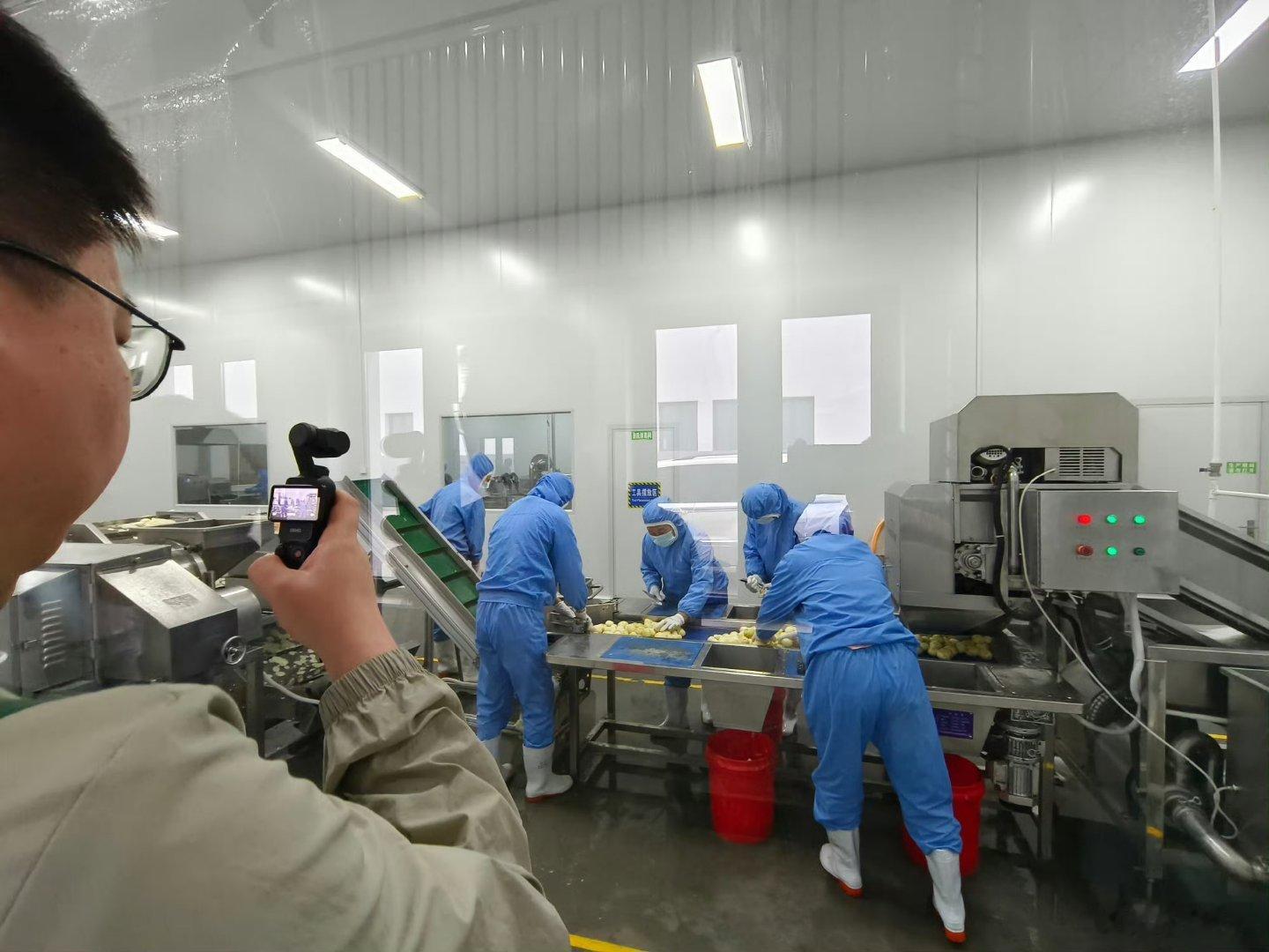 甘肃仁勤源达绿色薯业【智能洁净车间里的低碳实践】 走进甘肃仁勤源达的标准化生产车