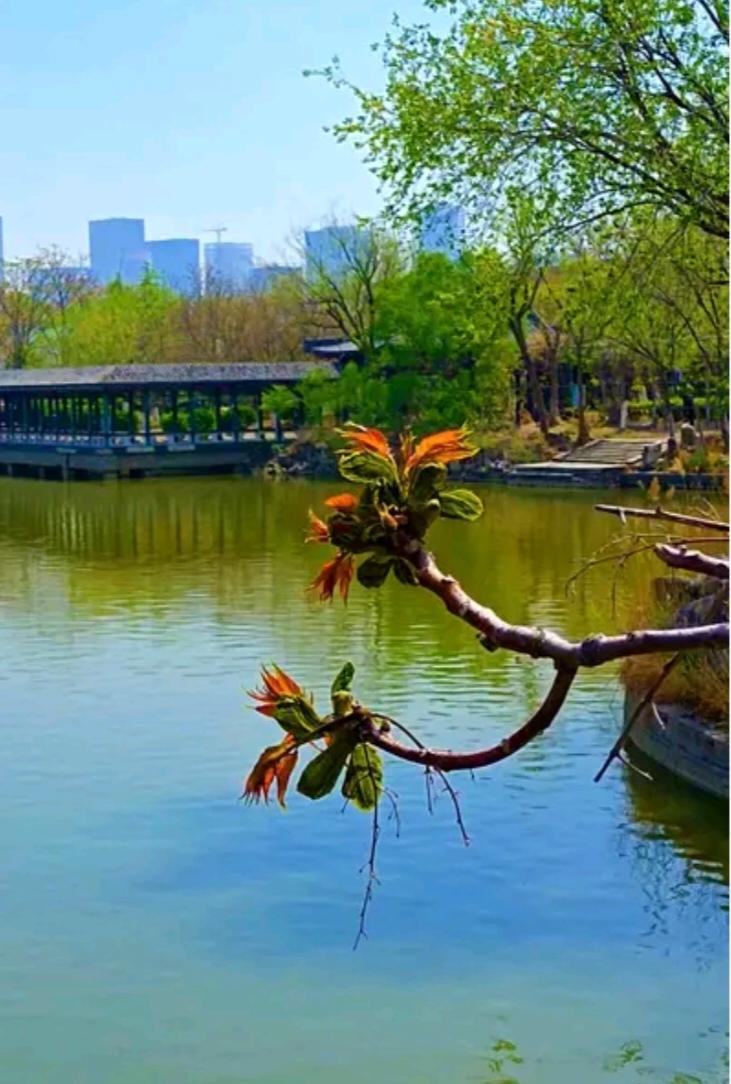 丧假通常为一至三天。若路途遥远，还会额外给予路程假，不过这仅限于直系亲属离世的情