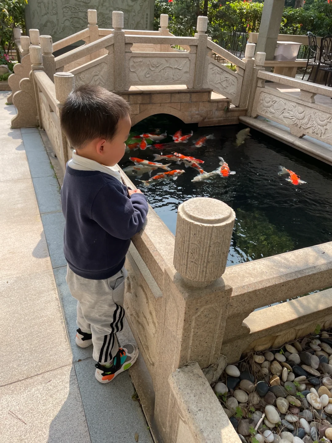 一个孩子被无条件爱着的N个瞬间‼️