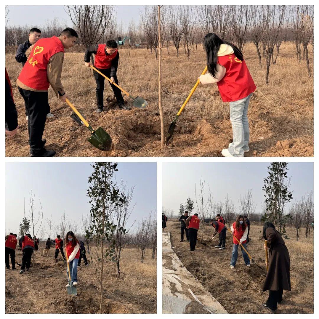 春回大地万物苏，植树添绿正当时。在第47个植树节来临之际，团区委组织各基层团组织