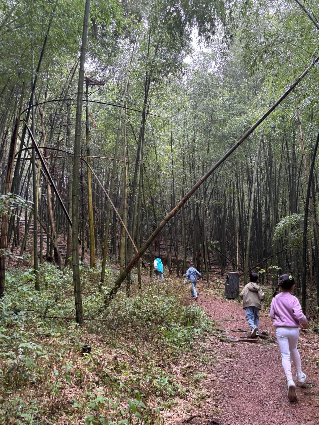 每周一山‼️在金华我又找到个冷门小众徒步地