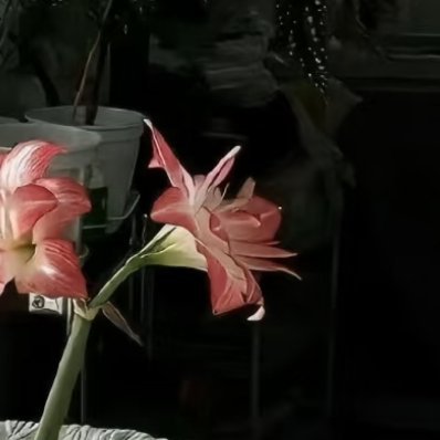 0000勿以善小而不为，一句温柔的问候，一次顺手的帮助，都是人间小温暖。保持善良