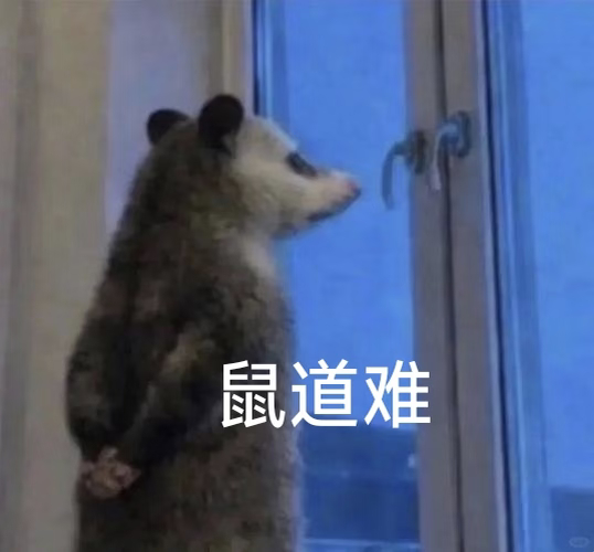 谁能懂，又想睡又不敢睡 