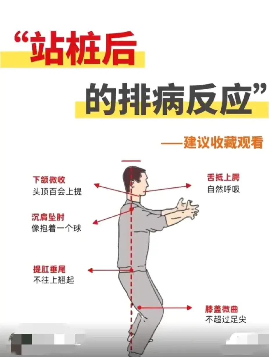 站桩作为一种传统的养生方法，对我们的身体有着很多好处。然而，站桩之后可能会出现一