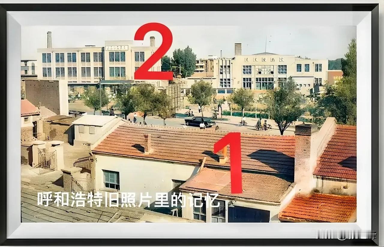 呼和浩特旧照片里的记忆：一张旧照片一份情怀，把记忆往远拉一些，这是一张久远的非常