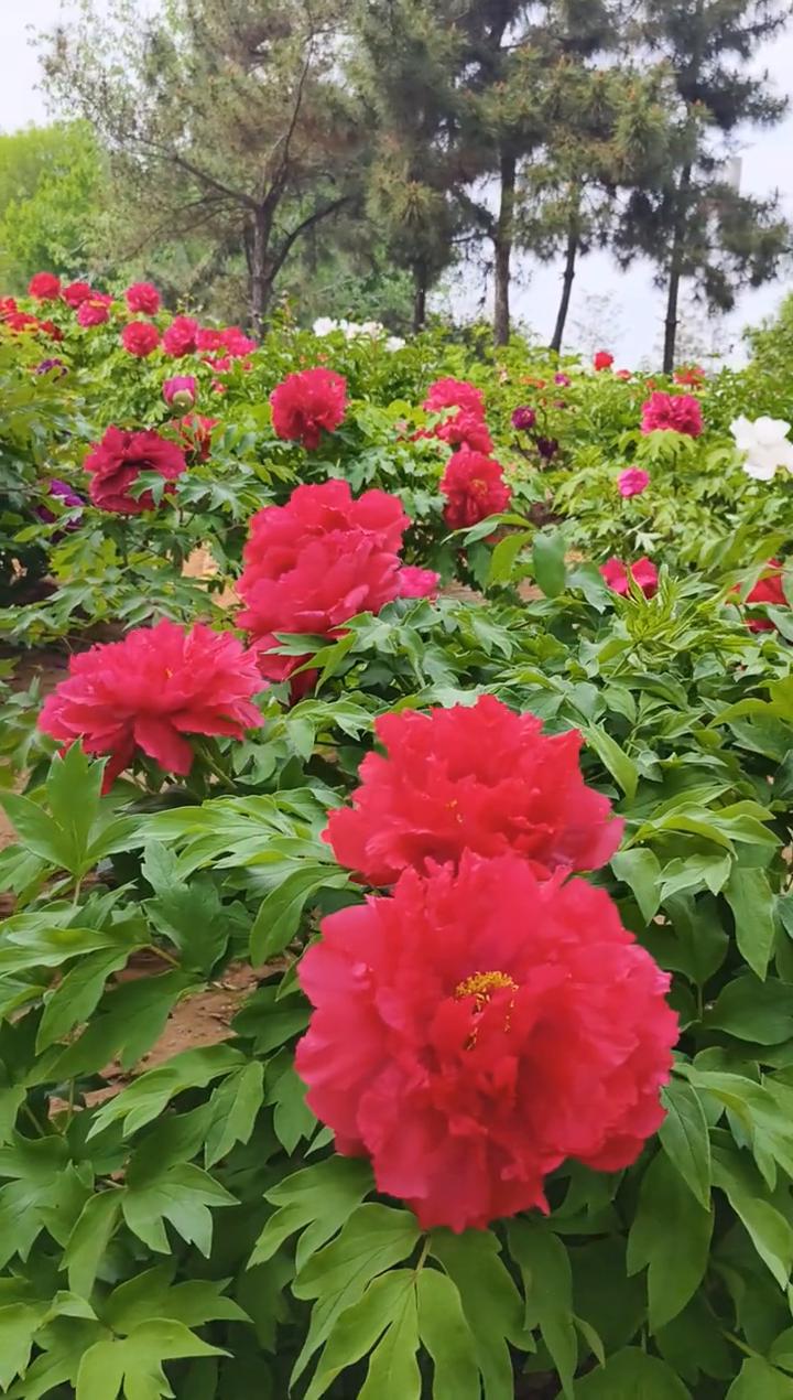 我们无法拍到过去，也无法拍到未来，却可以定格每一个珍贵的当下。用镜头留存时光，把