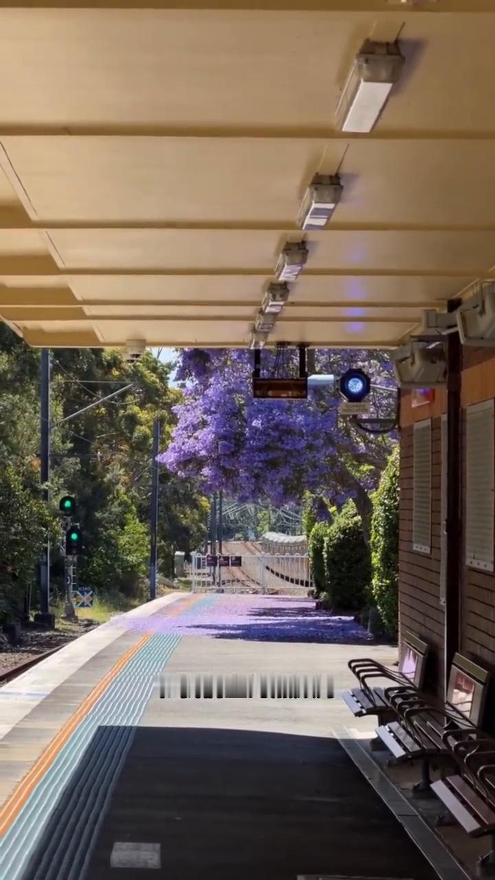 努力却又平凡的一生。
不要老想着做什么大事，我们都是一群高欲望、低收入的蝼蚁。一