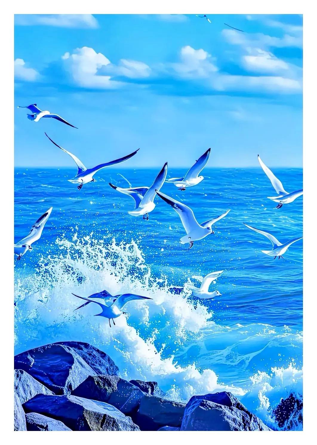 大海波浪翻滚，海鸥任意傲翔！