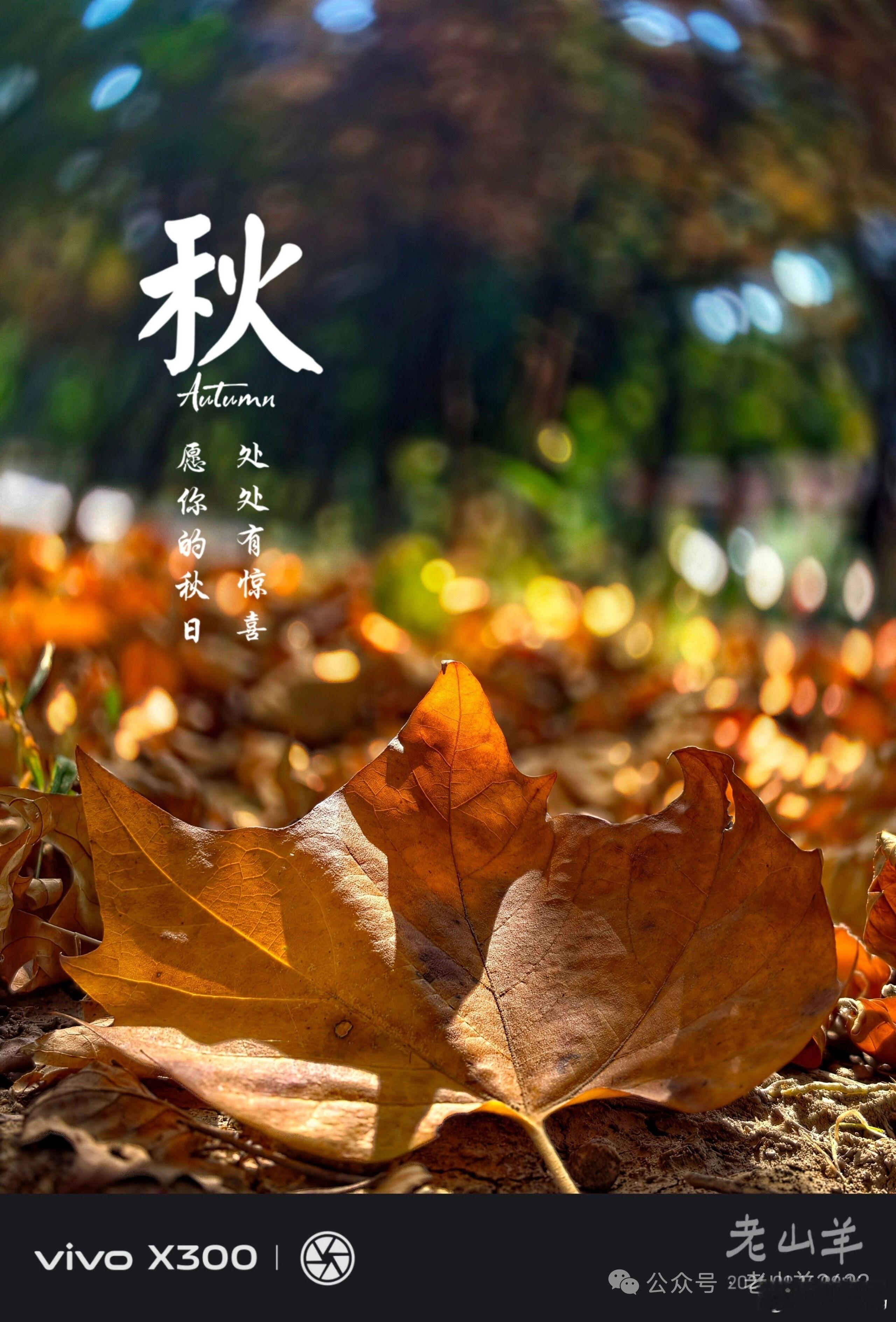 大多数人在未婚时，觉得男生打篮球的样子最帅气；但婚后，会突然意识到，男人做饭、洗
