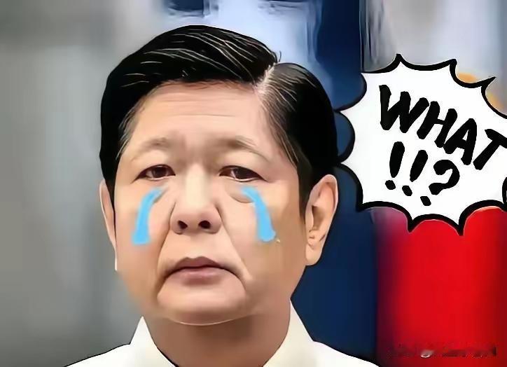 就在刚刚
菲律宾正式宣布
11月11日，菲律宾国家减灾管理委员会最新通报，台风“