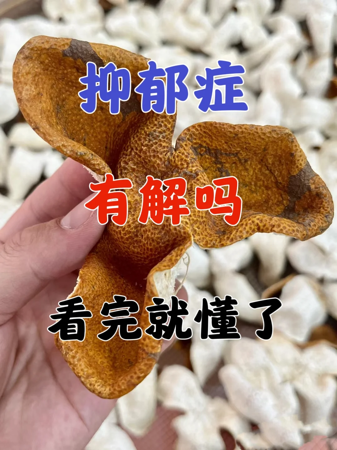 抑郁症，还有好中醫吗？ • 实际上，中醫很能体现出来水平的差距。大多数...