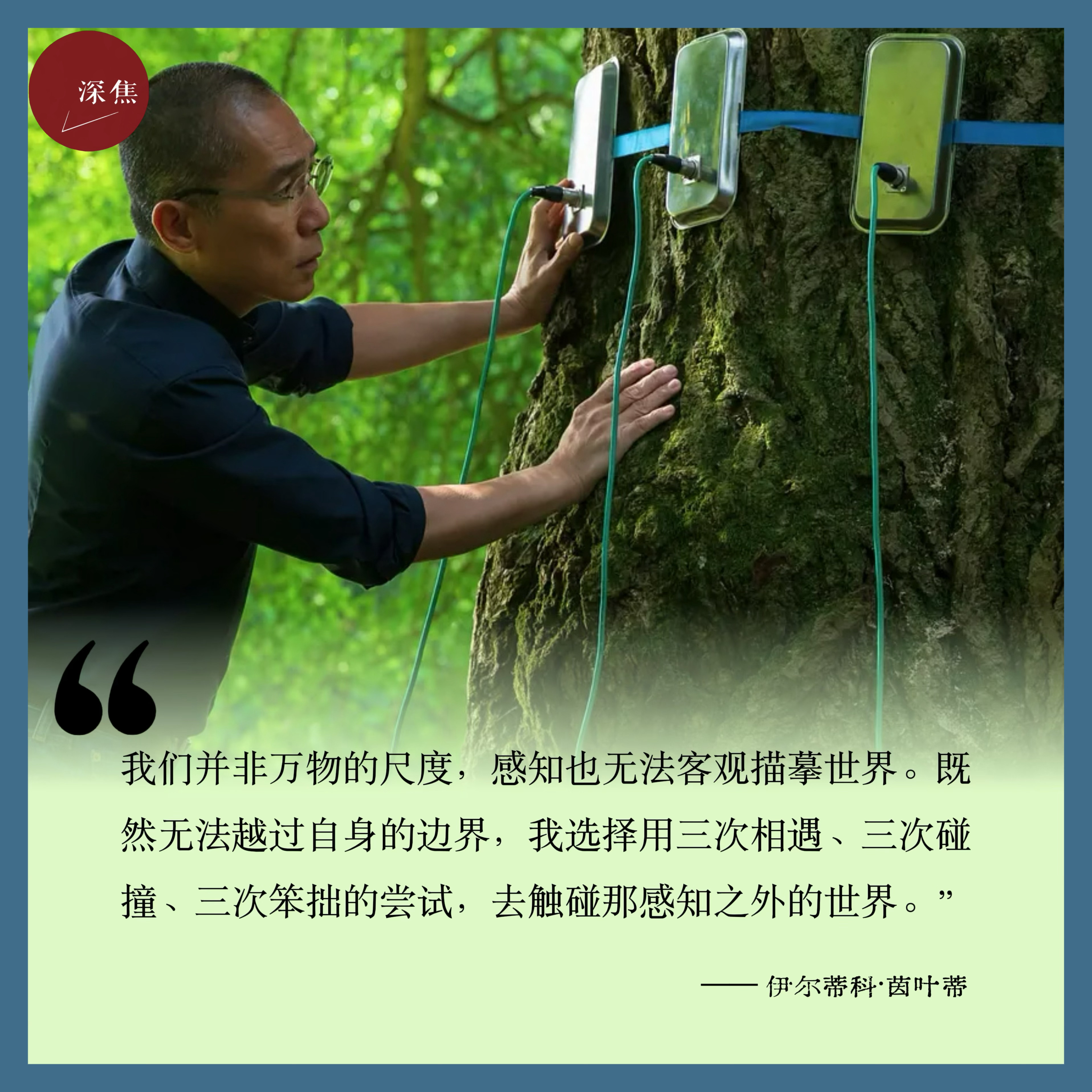 深焦切片 一棵树的百年孤独和第一次“性体验”《寂静的朋友》曾入围第82届威尼斯国