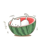 勇轩热品娱乐