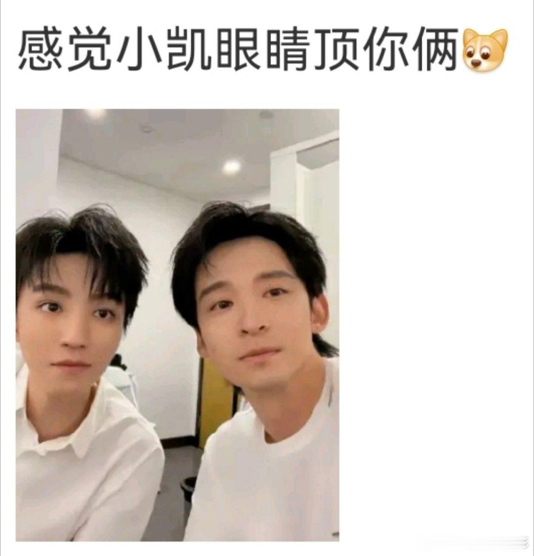 王俊凯董子健合照被判AI了比被判定AI更好笑的是有人说董子健“感觉小凯的眼睛顶你