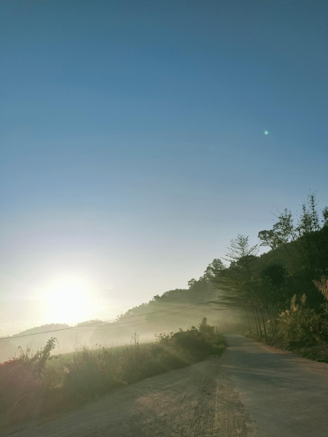 晨雾裹着山径，太阳刚挣出云层，把光揉进淡蓝的天。路边草木浸在薄纱似的雾里，电线杆