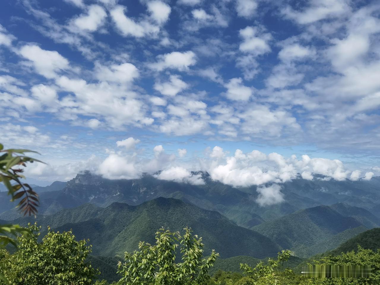 股价的涨跌不是普通散户所决定的，
你一定要小心大多散户看涨的股票；

信息的发出