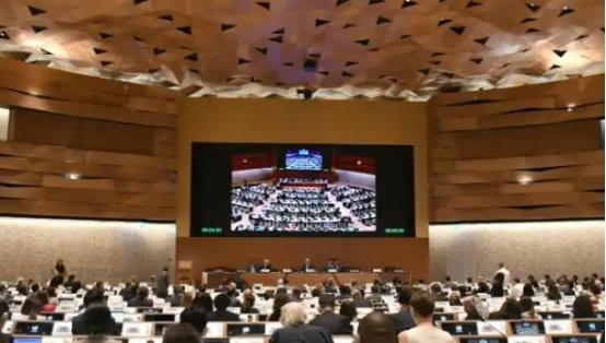 联合国会费按成员国经济实力分摊，美国需承担22%的最高比例，却长期拒不履行缴费义