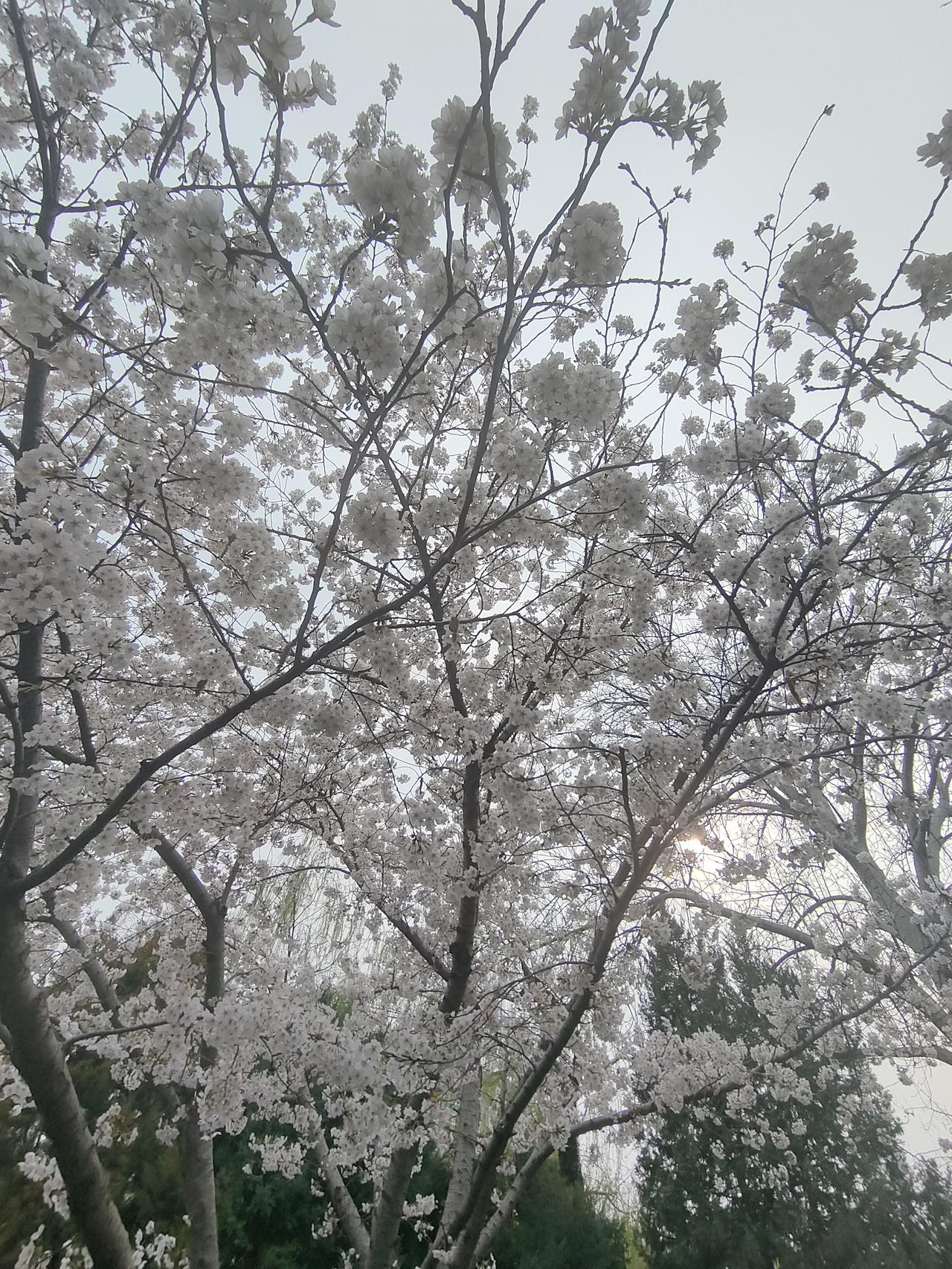 别人的嘴，管不住；自己的心，要稳住
 
为什么越活越通透的人，都不爱解释了？
 