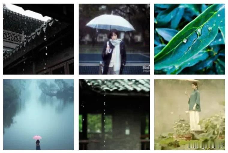 【卜算子·雨季】
文/风鸽（张晓峰）
一
梅熟雨霏霏，穿柳燕成对。
鱼跃池塘嬉碧