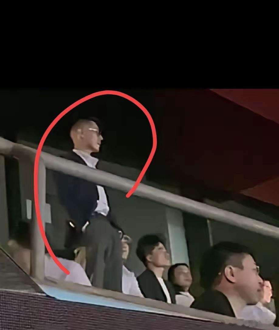 赵雷鸟巢演唱会，岳云鹏去了，我不意外，董宇辉去了，我也不意外，但大冰去了，确实挺
