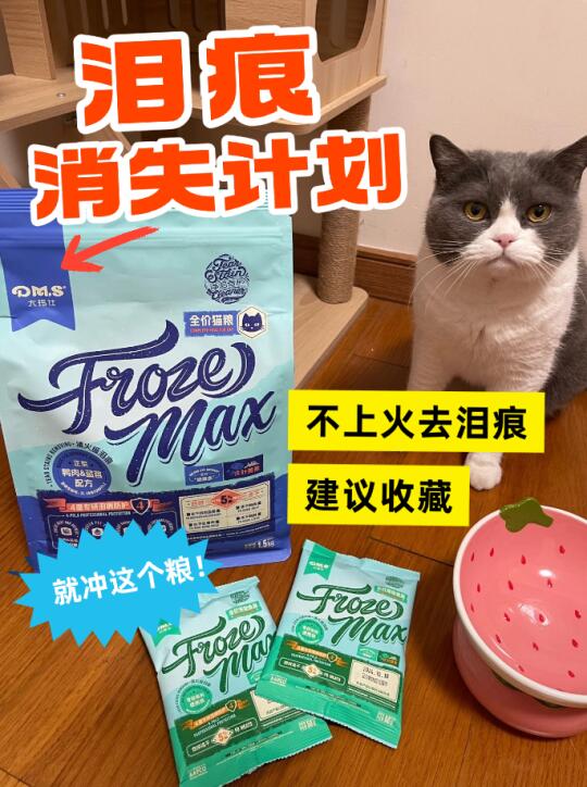 换季上火泪痕小咪的护理指南！