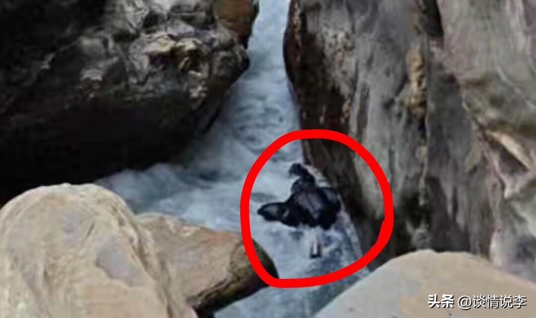 这真是一只杯子引发的悲剧。云南虎跳峡这事儿，看得人太揪心了。落水的男子才29岁，