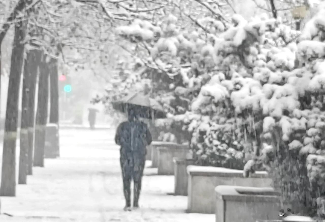 雪中周村新建中路。