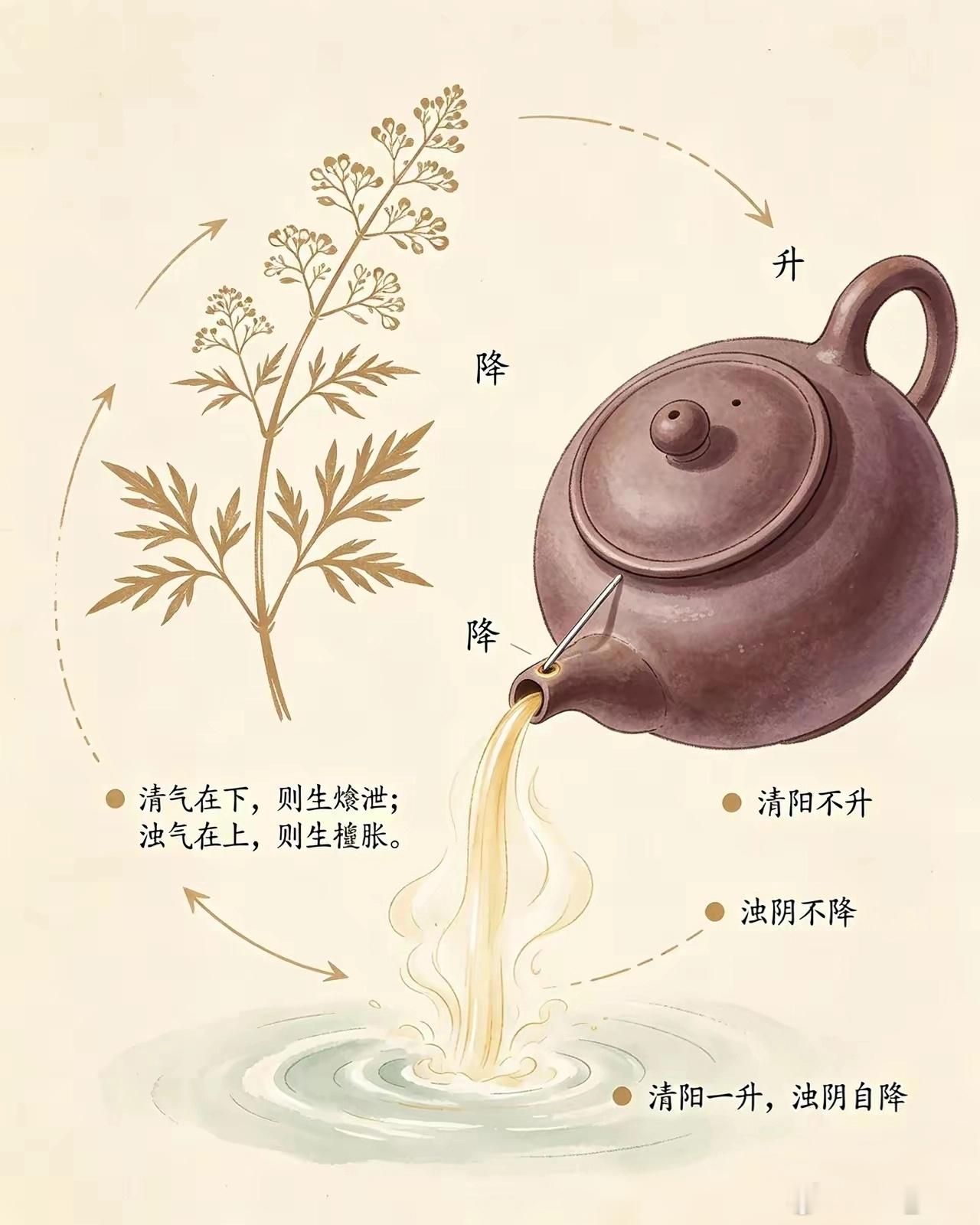 七律·李东垣润肠丸风药羌活深意血燥风凝腑气僵，单投润药滞中肠。东垣巧取羌活味，升