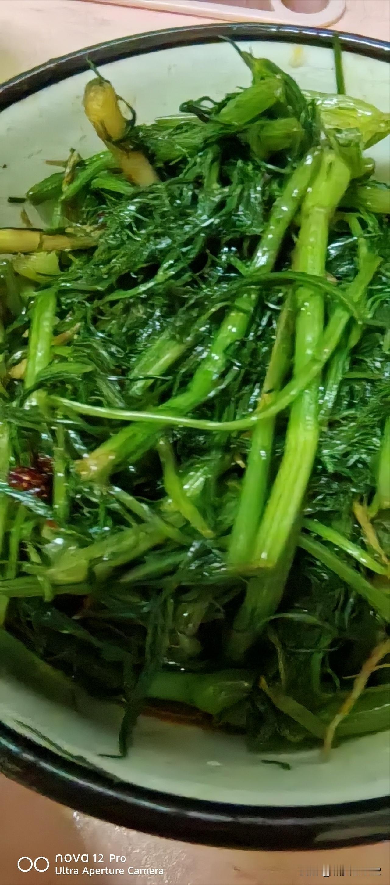 我的文章没有新意，流量低，所以收成也很低。