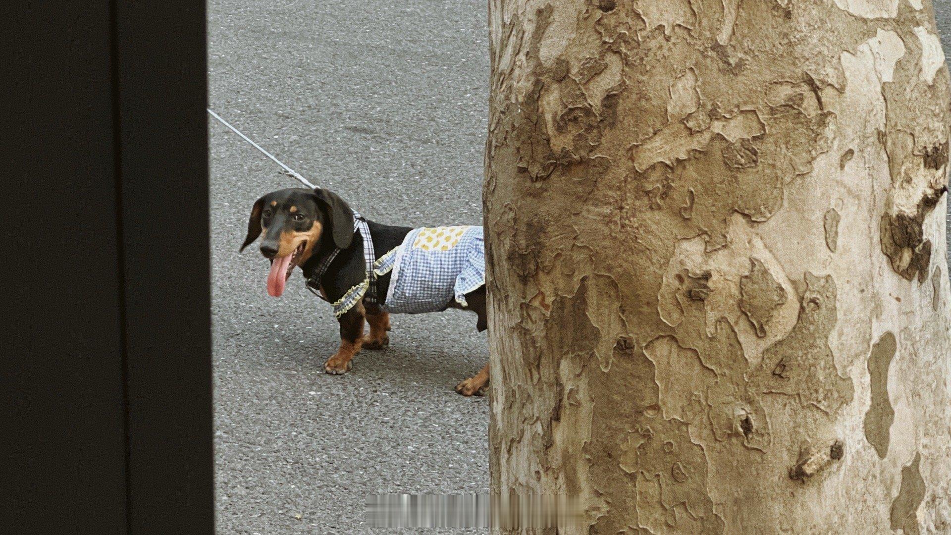 讲未来像是白日做梦 讲现在又当局者迷 ​​​