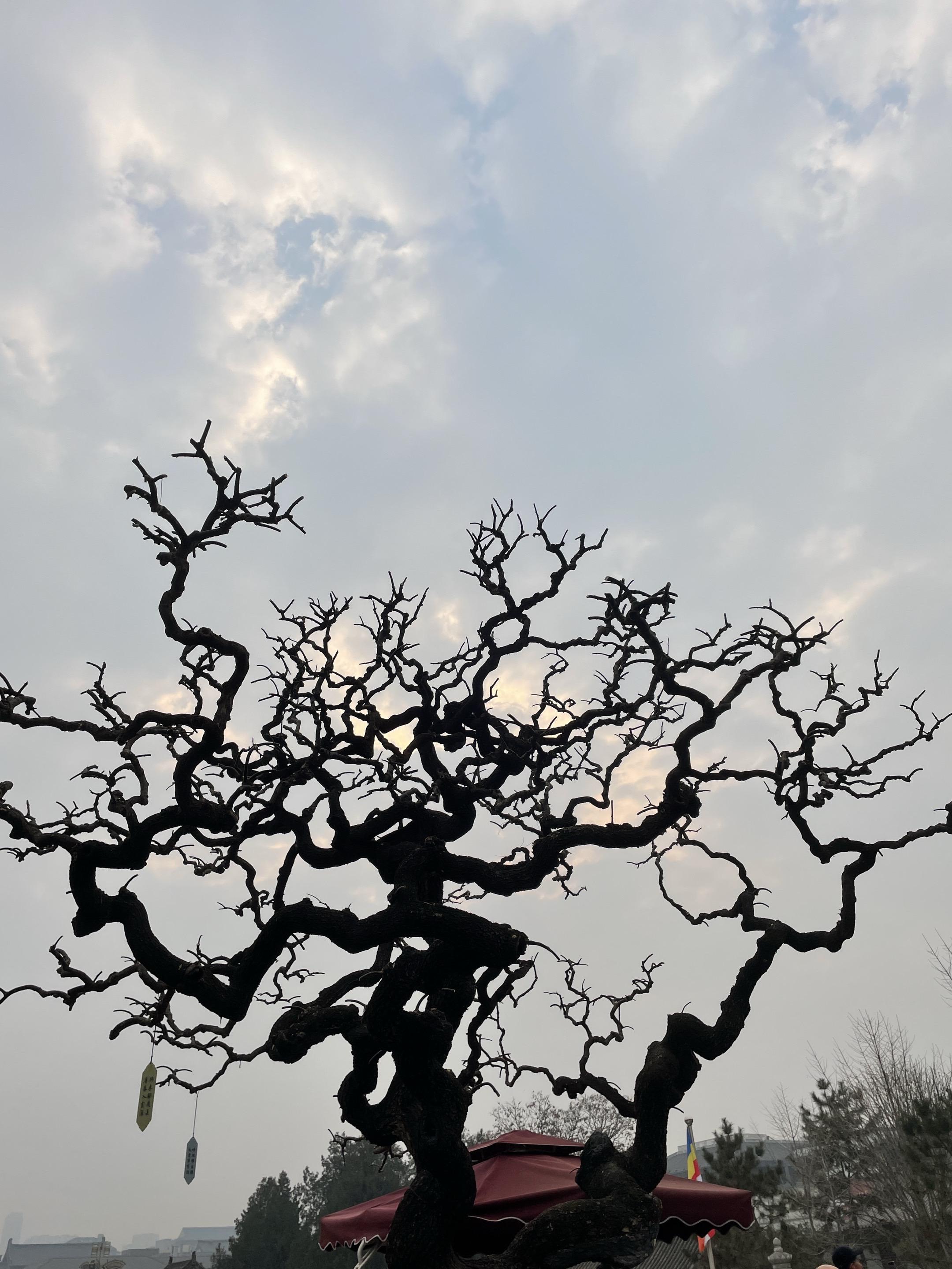 看看你们手机里的大自然 自然摄影打卡 风景随写