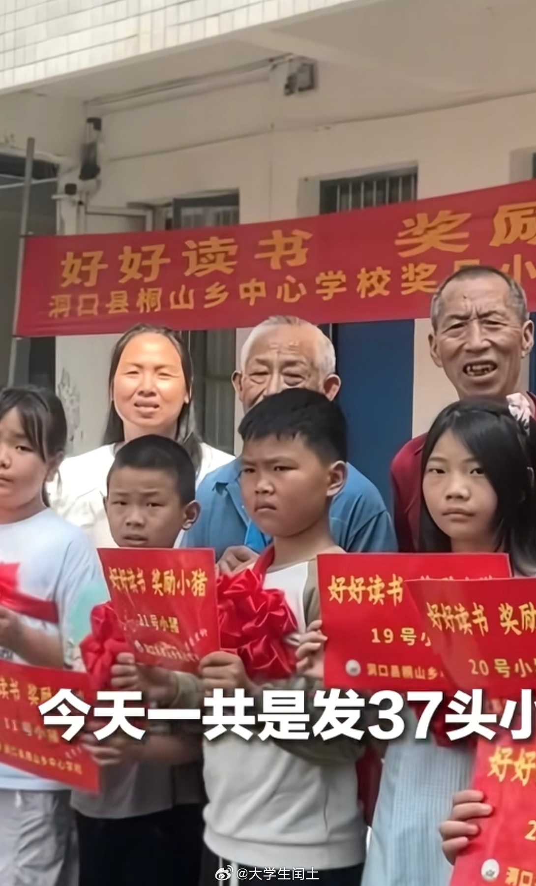 现在好好读书的奖品已经更新到小猪了吗[doge]。 ​​​