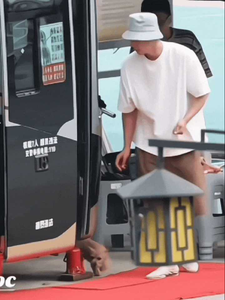 黄景瑜和他的三代爱宠的相处模式长子宾利：帅气张扬的中二兄弟Billy次子火锅：霸