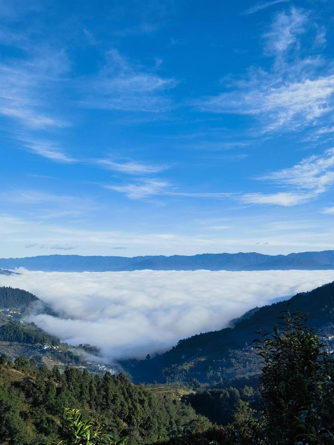 前几天和几位同事聊天，发现如今新入职的年轻人，有相当一部分都不讲礼貌，真不知是什