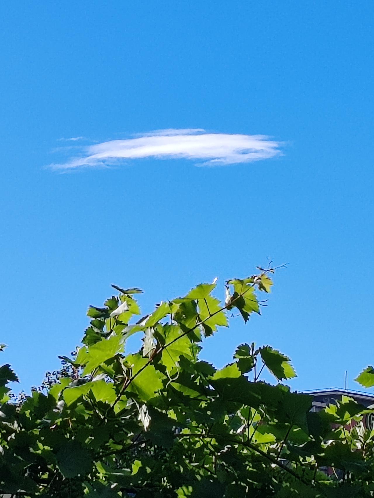 六月随手拍一一窗前的雲。