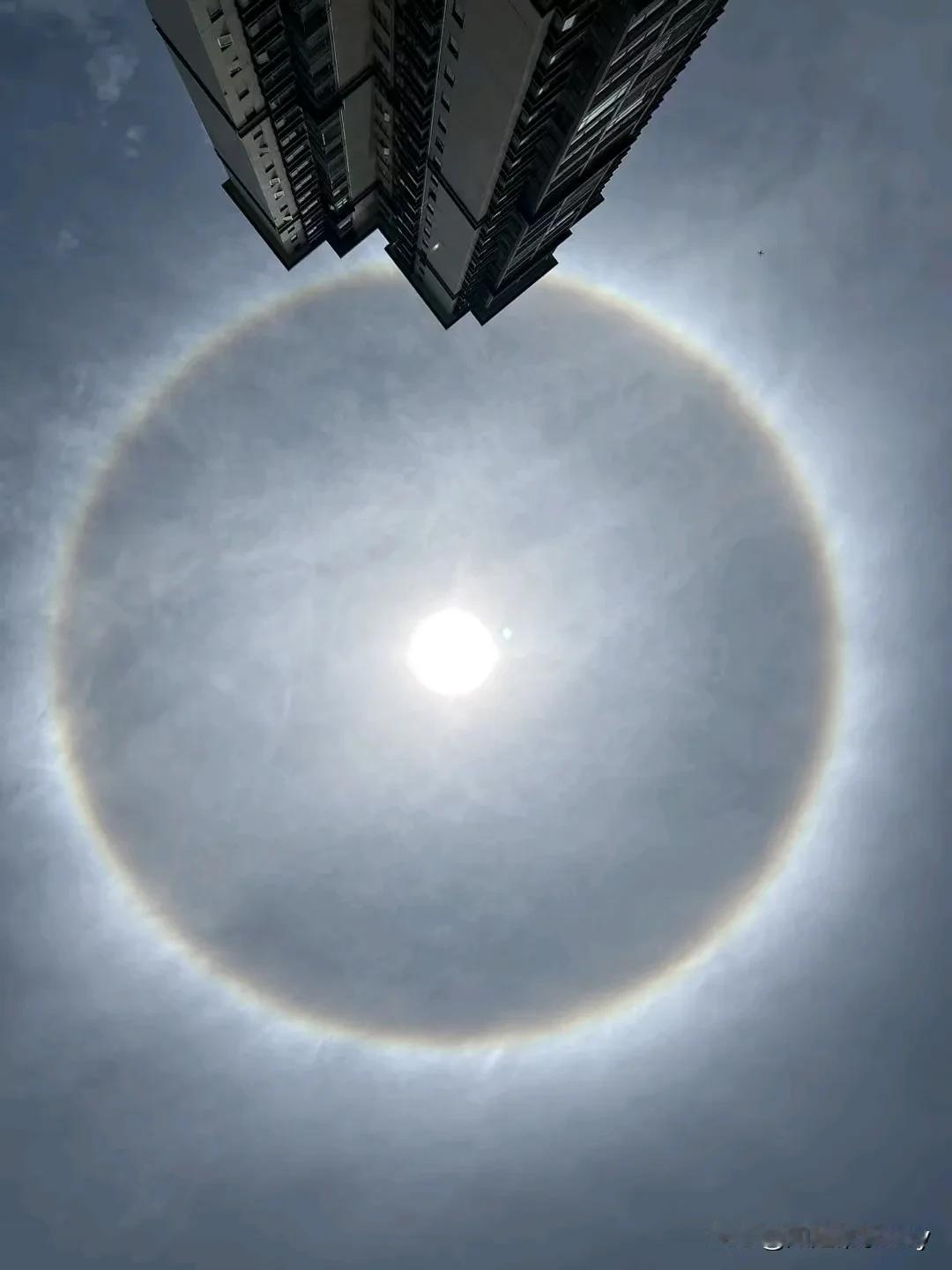震惊！今日中午，抬眼一望，这太阳与往日不同，有一个很大的圆圈环绕着，仿若眼球底片