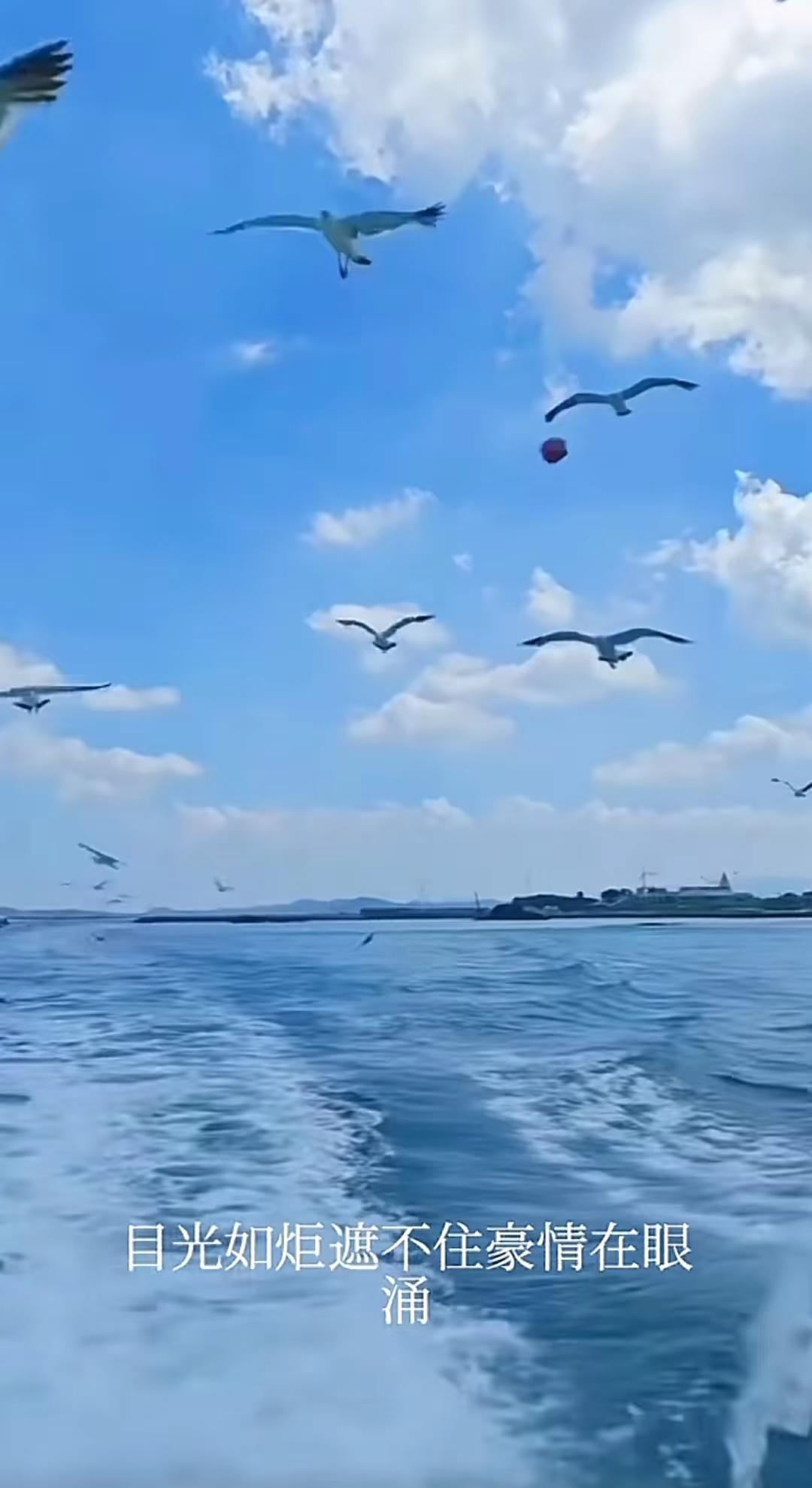 海阔天空任鸟飞 ，碧海蓝天万里云☁️