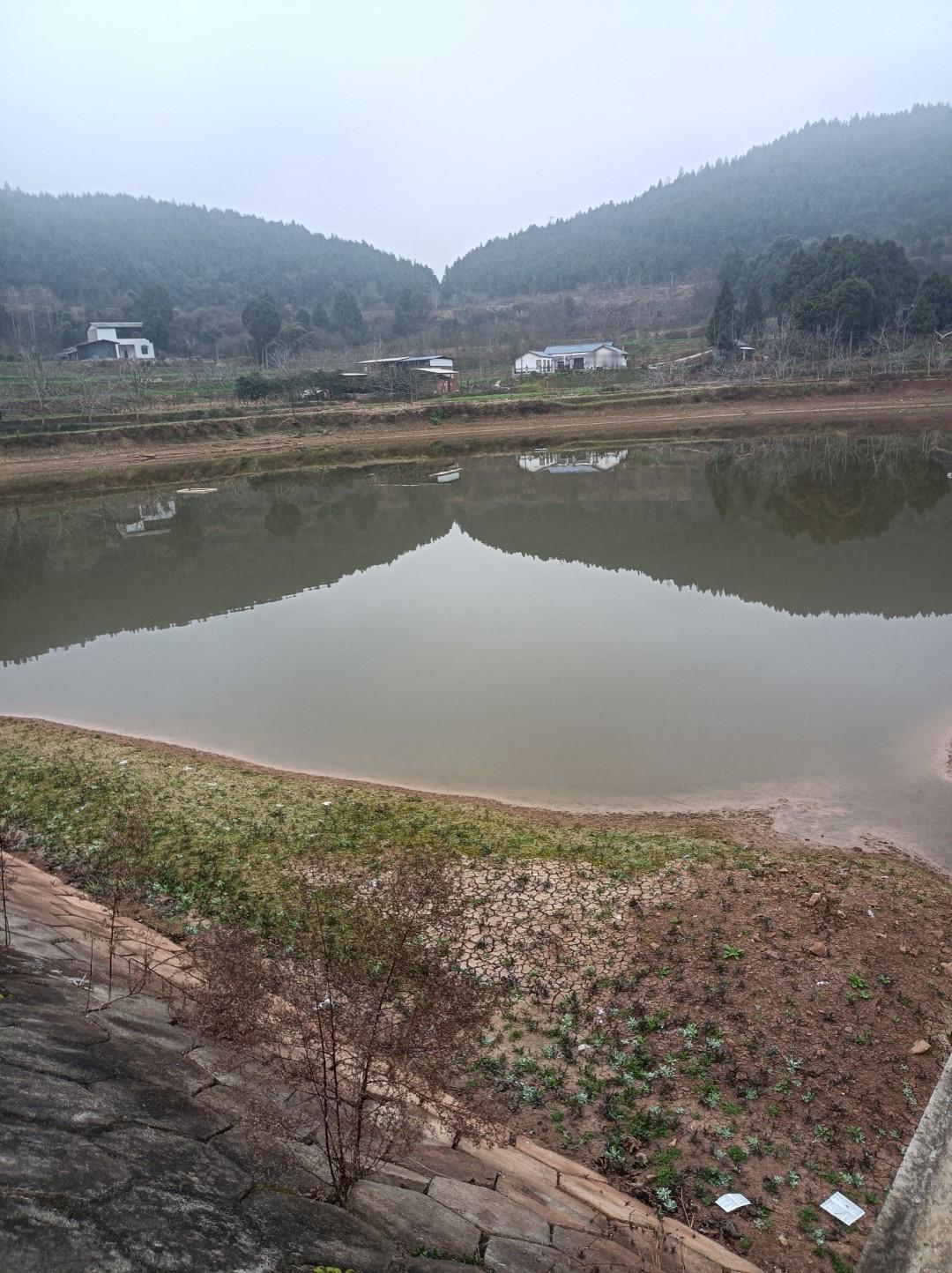 美国不敢对伊朗动武开始找借口了，开始找台阶下了。
2月27号，CNN报道：五角大